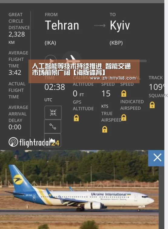 海豚体育