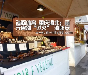 海豚体育