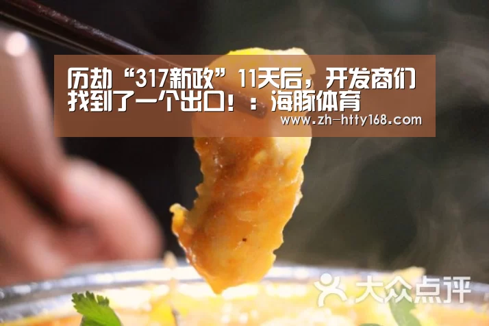 历劫“317新政”11天后，开发商们找到了一个出口！：海豚体育