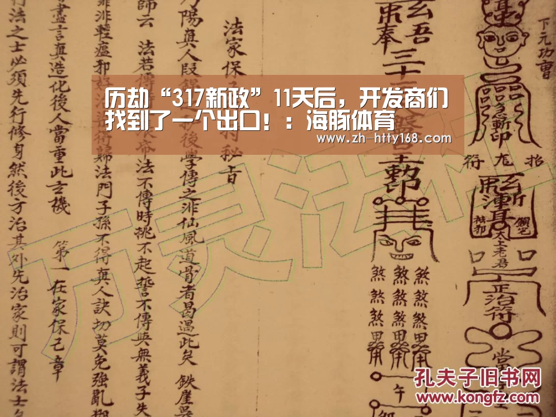 历劫“317新政”11天后,开发商们找到了一个出口!:海豚体育(图2) 海豚体育