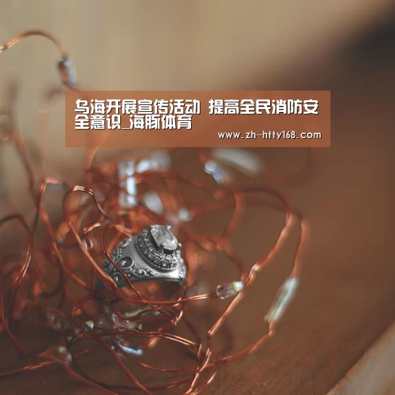 海豚体育