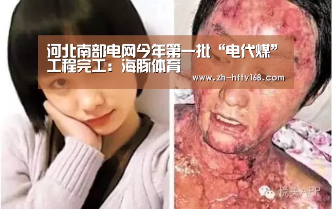 河北南部电网今年第一批“电代煤”工程完工:海豚体育(图3) 海豚体育