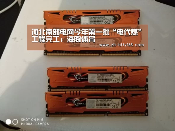河北南部电网今年第一批“电代煤”工程完工:海豚体育(图2) 海豚体育
